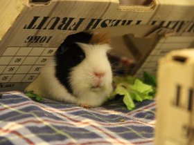 2020-01-24-3694 Emily.jpg